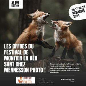 Festival Montier en Der chez Mennesson Photo