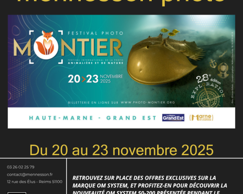 Retrouvez Mennesson Photo au Festival Montier-en-Der