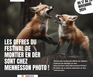 Festival Montier en Der chez Mennesson Photo