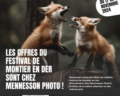 Festival Montier en Der chez Mennesson Photo